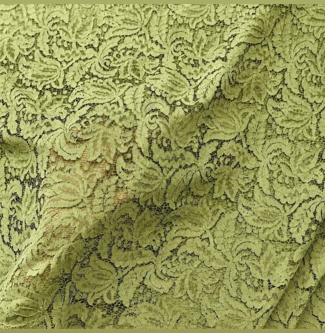Olive-Chantilly-Net-Embroidery